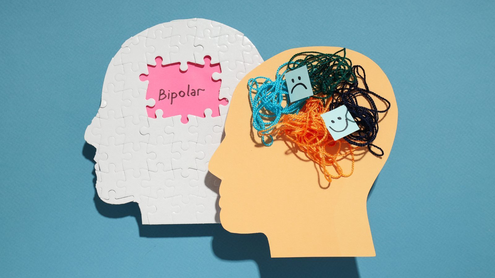Bipolar Depression Study Participants