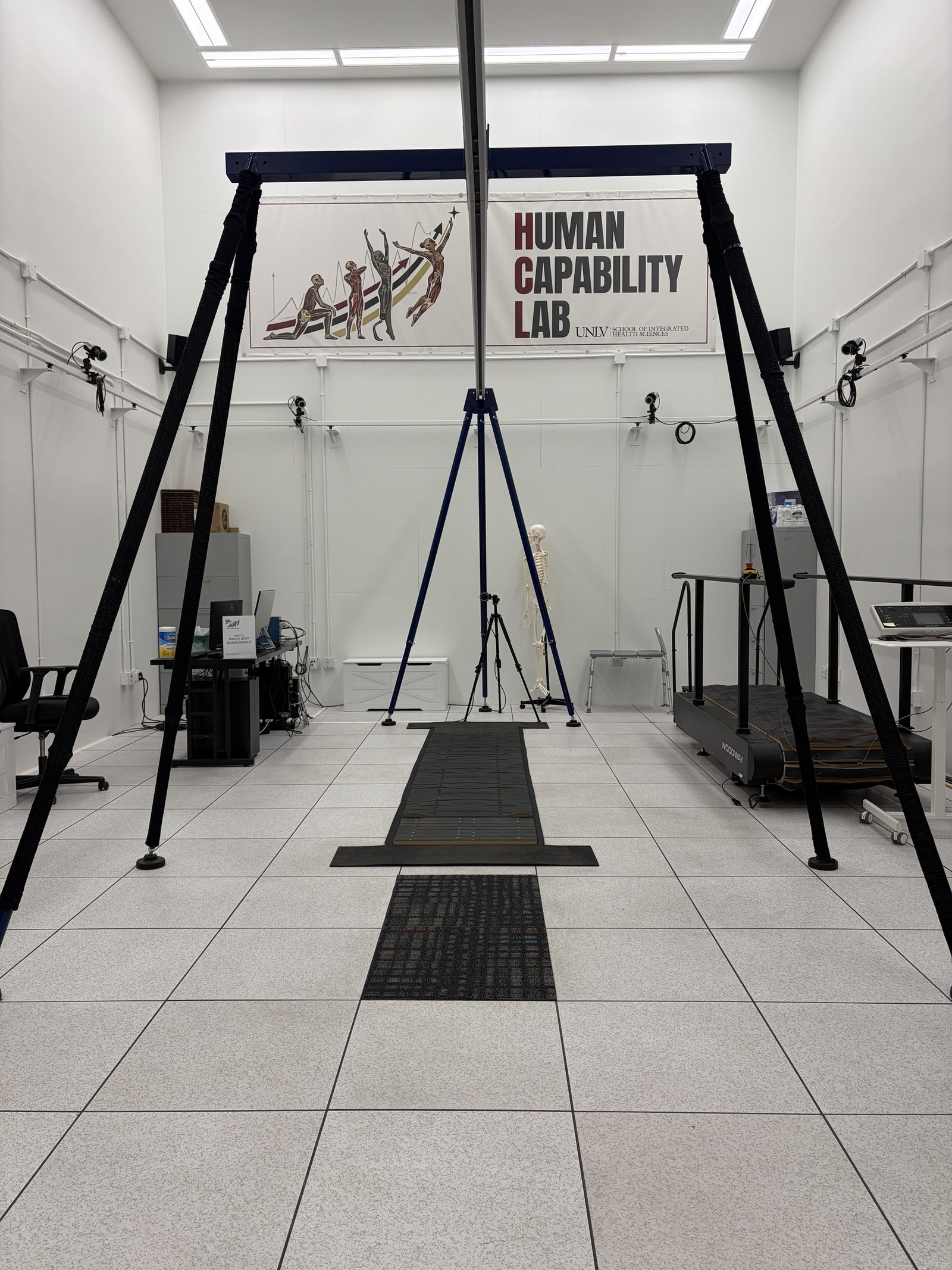 Lower limb prosthesis walking training research
